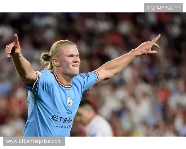 哈兰德入选FIFA最佳阵容，赛季表现稳健备受期待