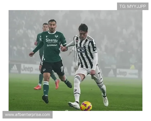 弗拉霍维奇效率波动原因解析